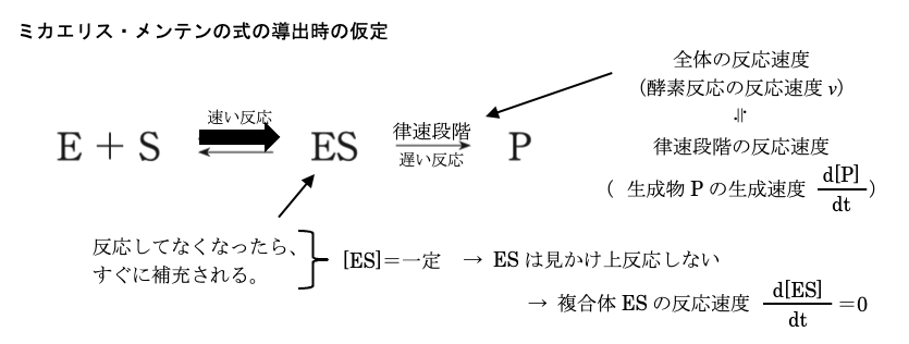解説画像